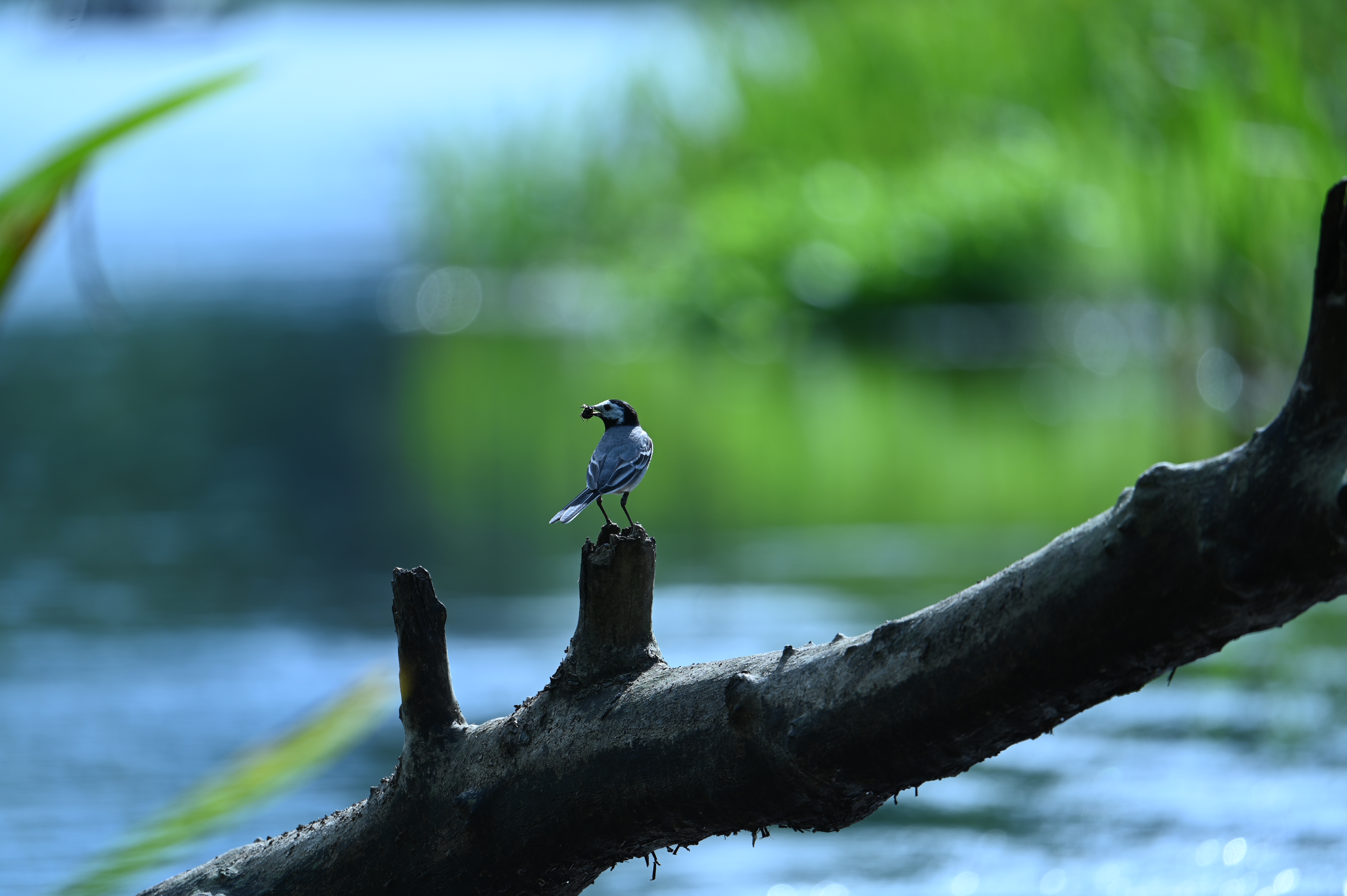 2025/07/09-14 - trip/DSC_0336.JPG